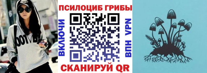 Псилоцибиновые грибы MAGIC MUSHROOMS  как найти закладки  Сасово 